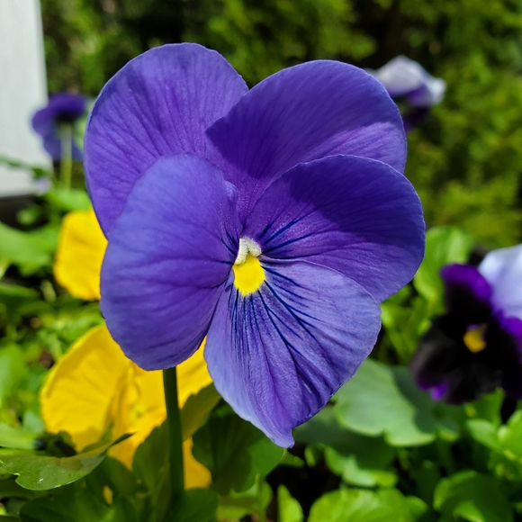 Welcome To My Closet - Picture 6 of 16